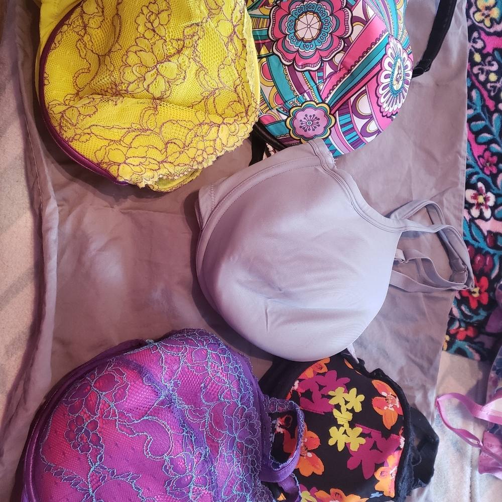 Lot of 42DD Cacique Lane Bryant bras - EUC